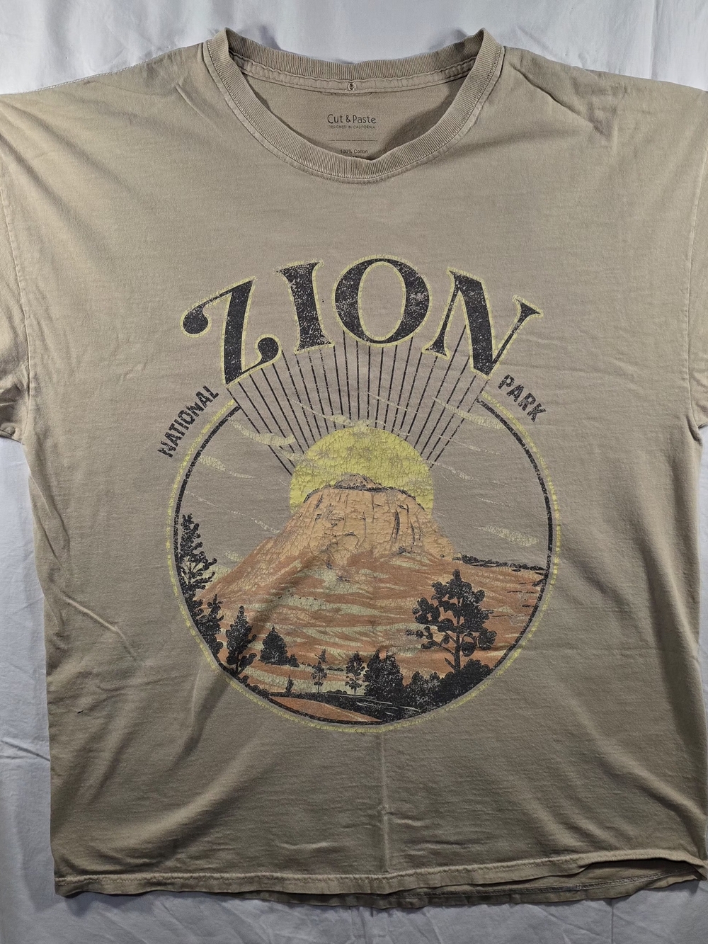 Men's Lion National Park Graphic Tee - Beige